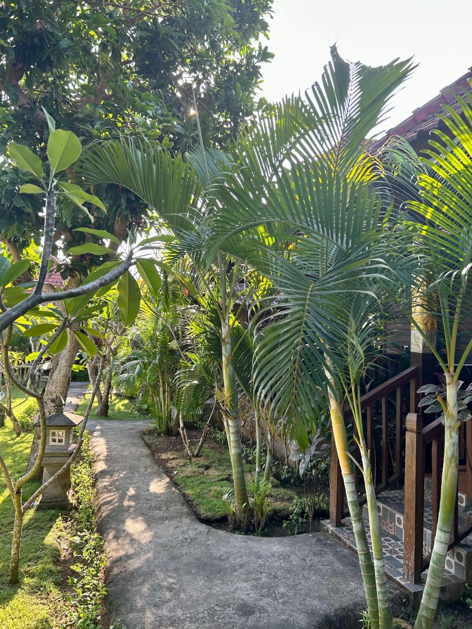 Bed and Breakfast Island Garden Huts Lembongan Екстер'єр фото