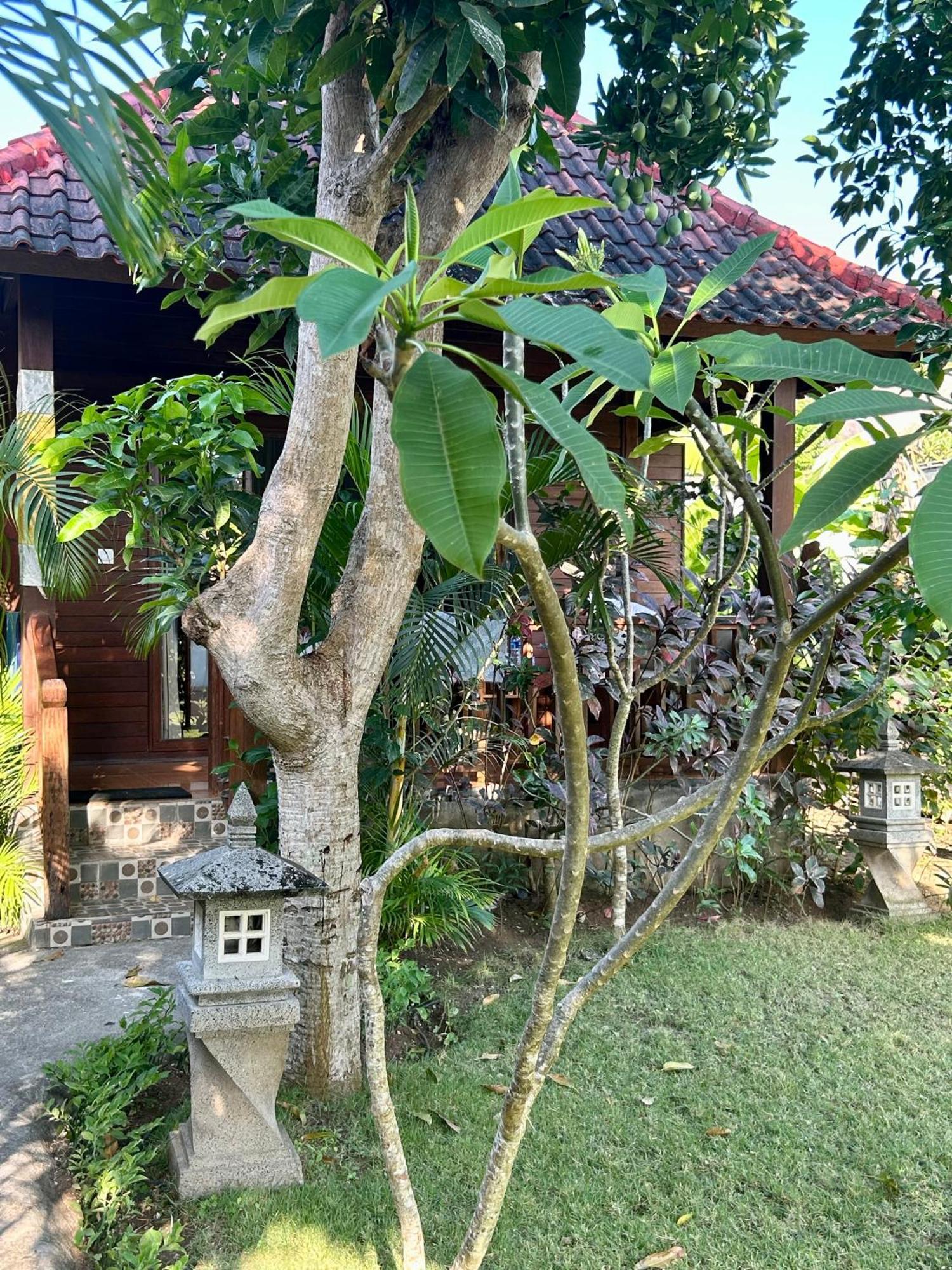 Bed and Breakfast Island Garden Huts Lembongan Екстер'єр фото