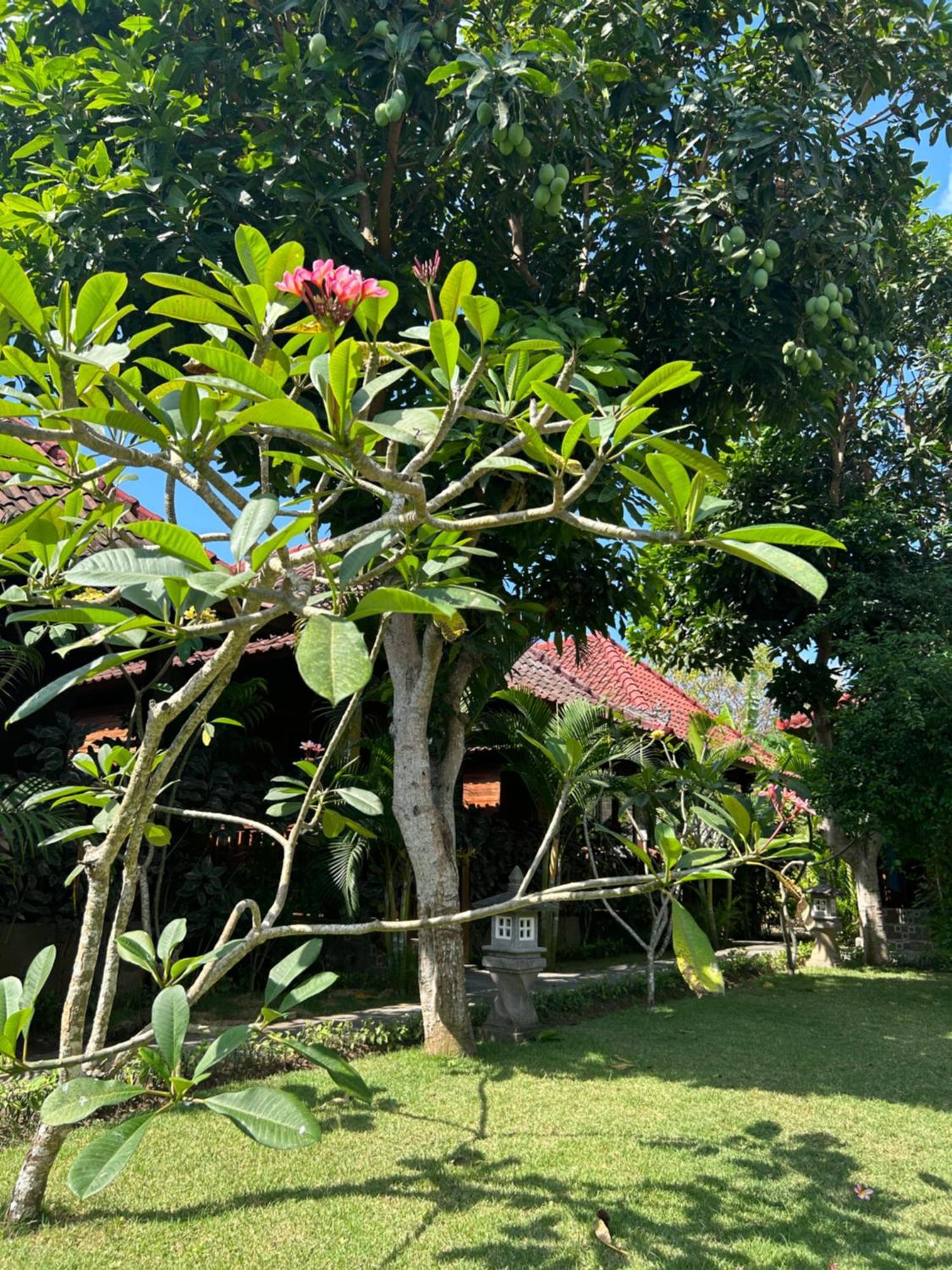 Bed and Breakfast Island Garden Huts Lembongan Екстер'єр фото