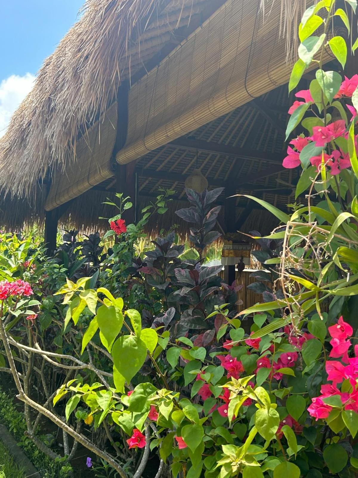 Bed and Breakfast Island Garden Huts Lembongan Екстер'єр фото