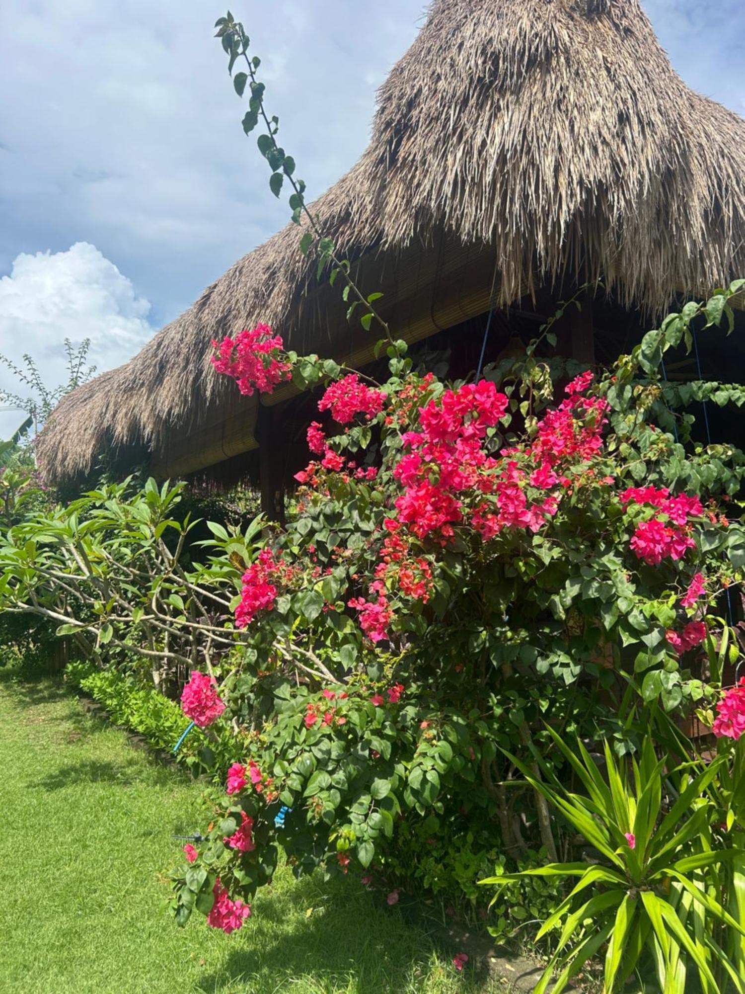Bed and Breakfast Island Garden Huts Lembongan Екстер'єр фото