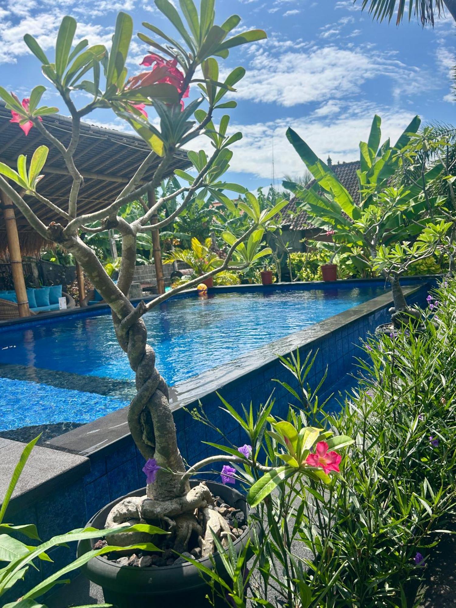 Bed and Breakfast Island Garden Huts Lembongan Екстер'єр фото