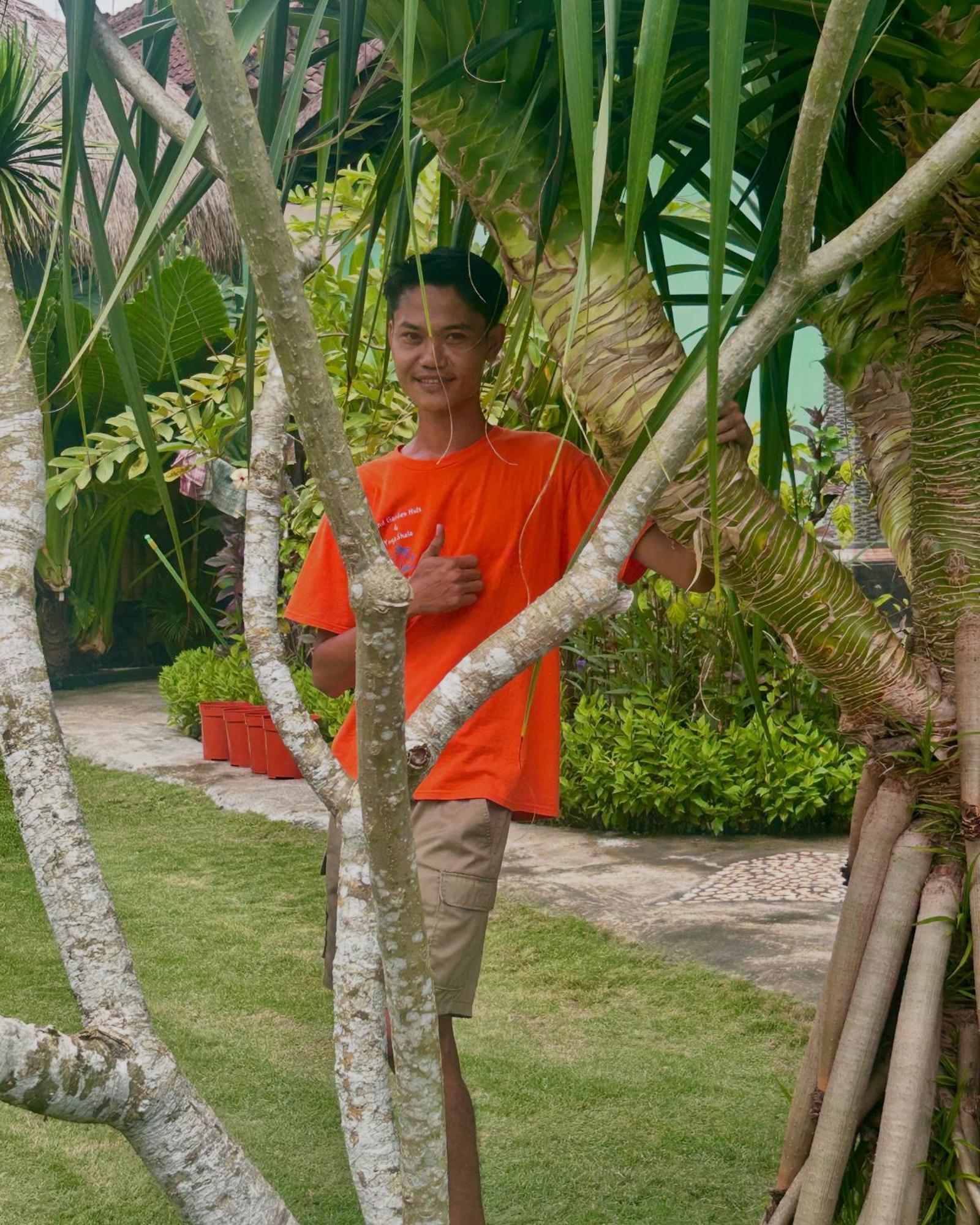 Bed and Breakfast Island Garden Huts Lembongan Екстер'єр фото